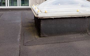 disadvantages of Rowardennan flat roofs